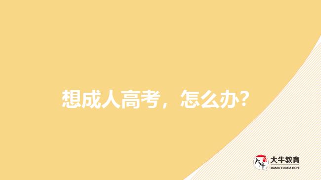 想成人高考，怎么辦？