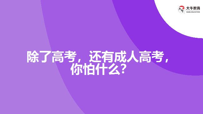 除了高考，還有成人高考，你怕什么？