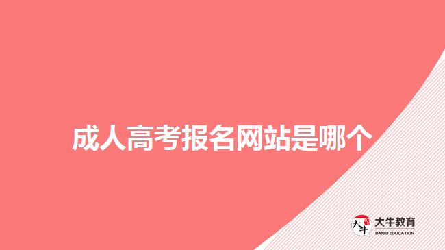 成人高考報(bào)名網(wǎng)站