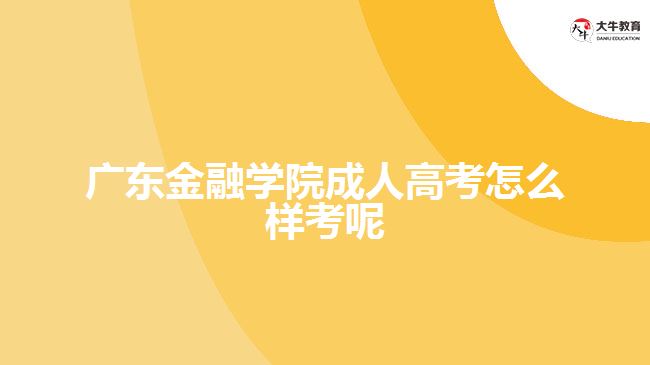 廣東金融學院成人高考