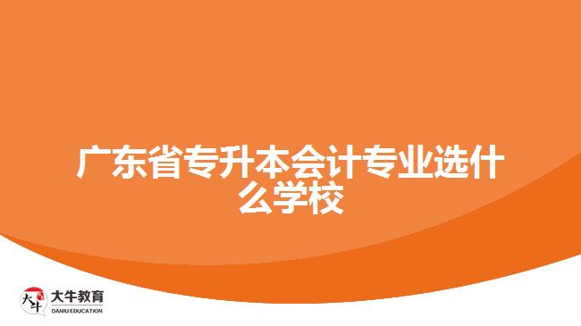 廣東省專升本會(huì)計(jì)專業(yè)選什么學(xué)校好