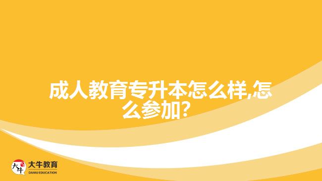 成人教育專升本怎么樣,怎么參加？