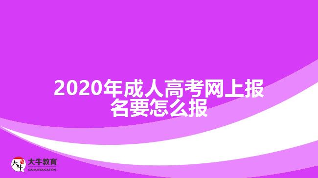 ，2020年成人高考網上報名要怎么報