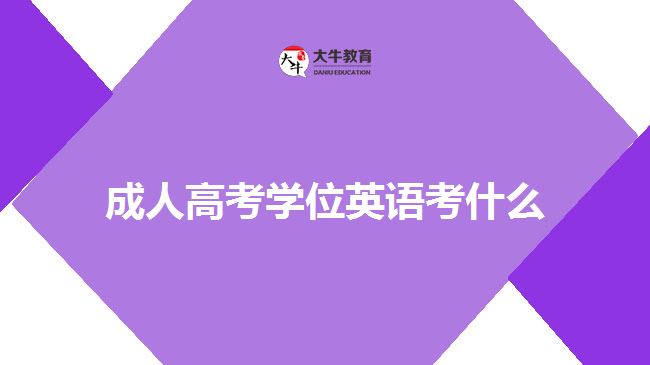 成人高考學位英語考什么