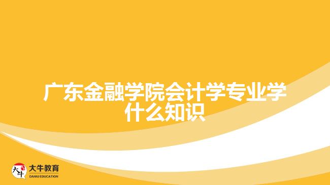 廣東金融學(xué)院會計(jì)學(xué)專業(yè)學(xué)什么知識