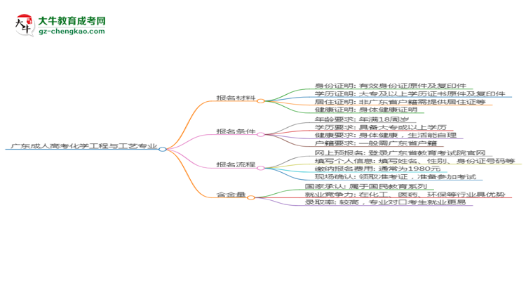 廣東2025年成人高考化學工程與工藝專業(yè)學歷能考公嗎？思維導圖