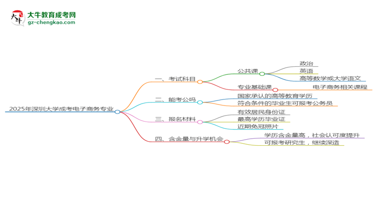 2025年深圳大學成考電子商務專業(yè)入學考試科目有哪些？思維導圖