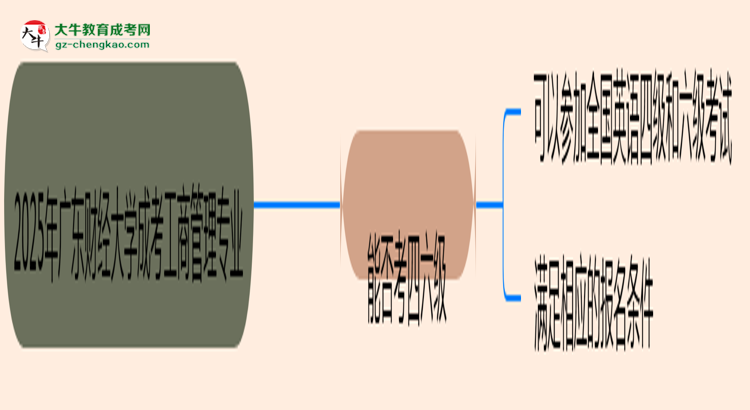 廣東財經(jīng)大學(xué)2025年成考工商管理專業(yè)生可不可以考四六級？思維導(dǎo)圖