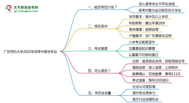 廣東藥科大學(xué)2025年成考中醫(yī)學(xué)專業(yè)生可不可以考四六級？思維導(dǎo)圖