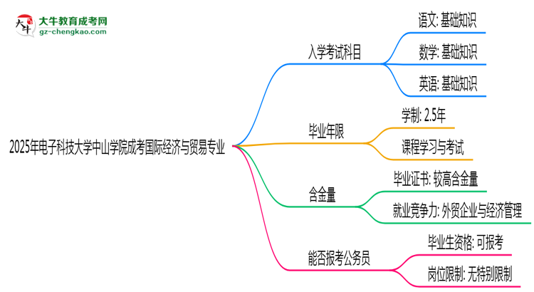 2025年電子科技大學(xué)中山學(xué)院成考國際經(jīng)濟(jì)與貿(mào)易專業(yè)入學(xué)考試科目有哪些？思維導(dǎo)圖