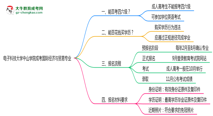 電子科技大學(xué)中山學(xué)院2025年成考國(guó)際經(jīng)濟(jì)與貿(mào)易專(zhuān)業(yè)生可不可以考四六級(jí)？思維導(dǎo)圖