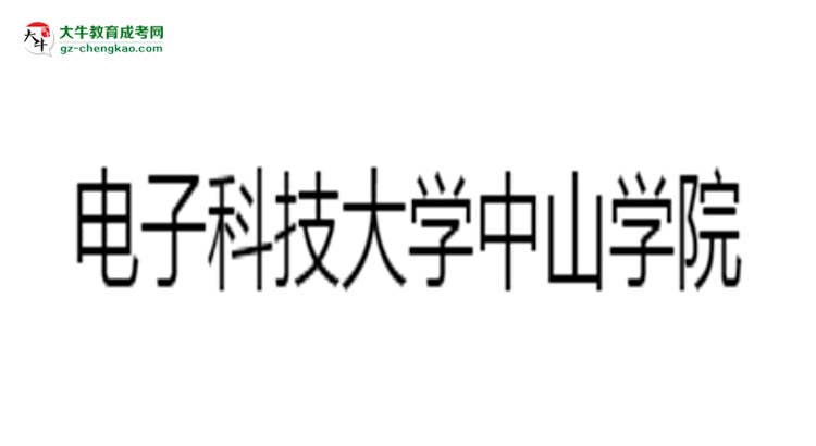 電子科技大學中山學院2025年成考財務管理專業(yè)生可不可以考四六級?思維導圖