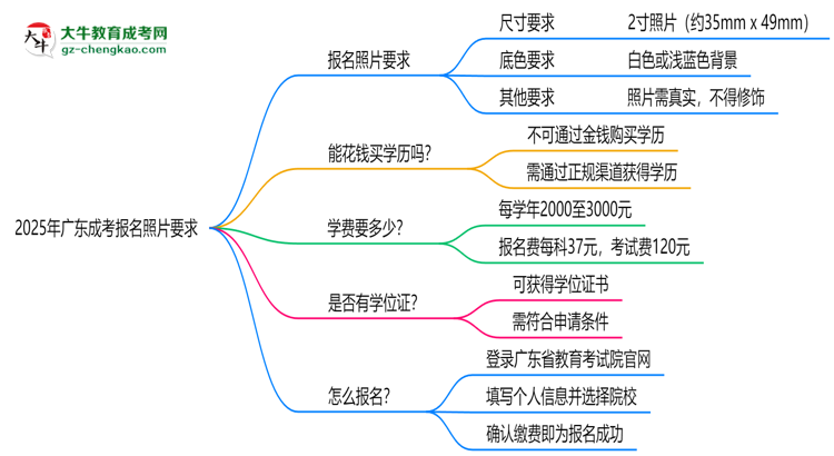 2025年廣東成考報(bào)名照片要求：尺寸+底色思維導(dǎo)圖