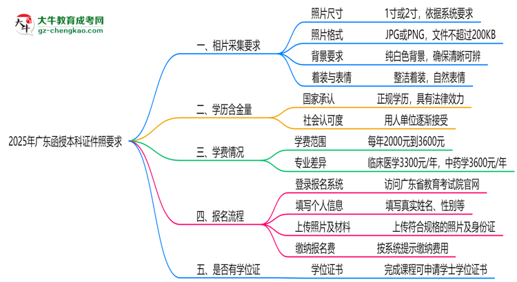2025年廣東函授本科證件照要求：藍底/尺寸/修圖思維導(dǎo)圖