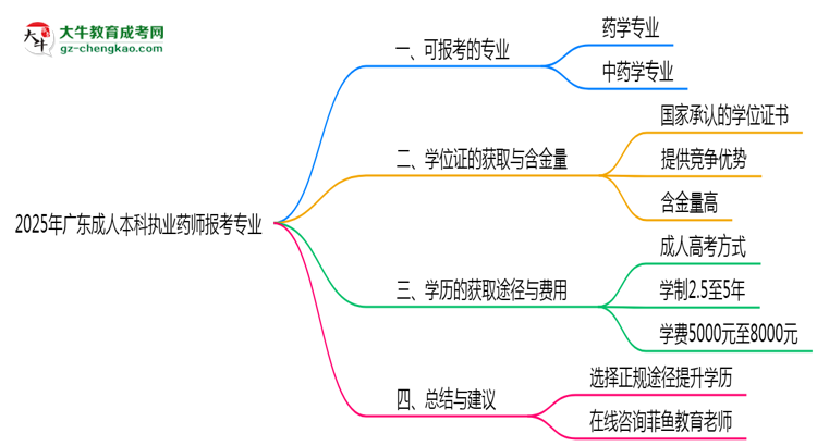 2025年廣東成人高考執(zhí)業(yè)藥師報考專業(yè)思維導圖