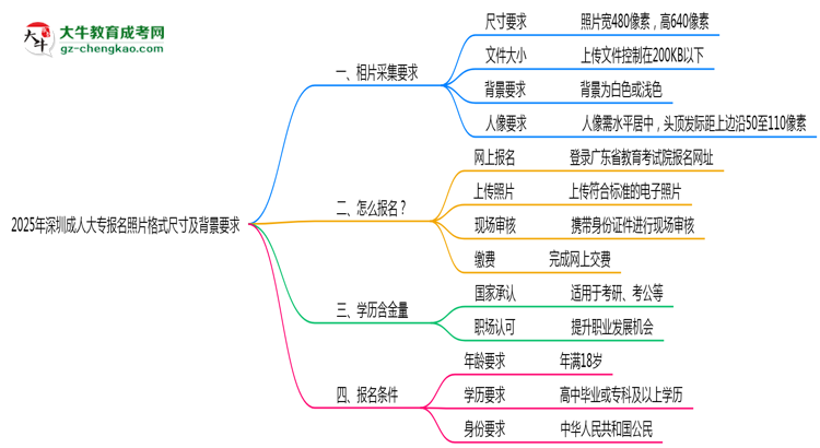 2025年深圳成人大專報(bào)名照片格式尺寸及背景要求思維導(dǎo)圖