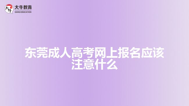 東莞成人高考網上報名應該注意什么