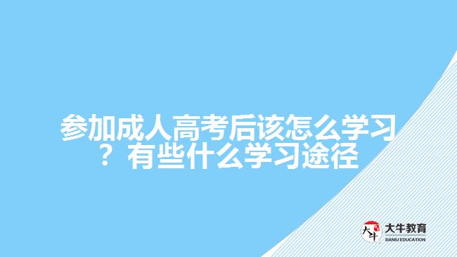 參加成人高考后該怎么學(xué)習(xí)？有些什么學(xué)習(xí)途徑