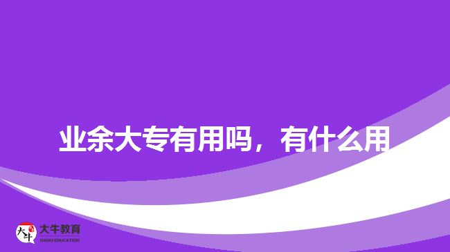 業(yè)余大專(zhuān)有用嗎,有什么用