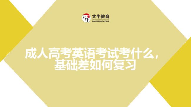 成考英語考什么,基礎差如何復習