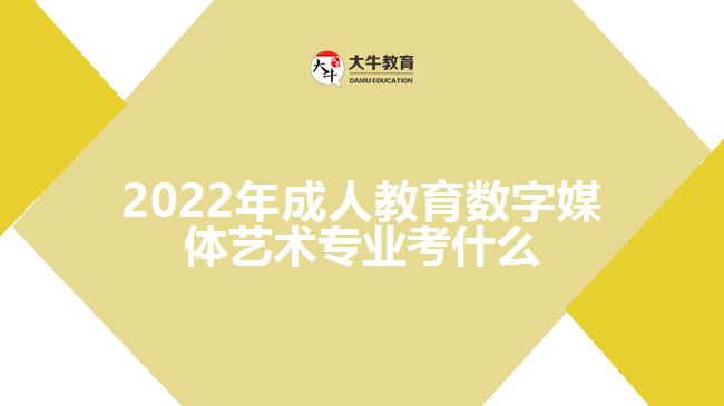 成人教育數(shù)字媒體藝術專業(yè)考什么