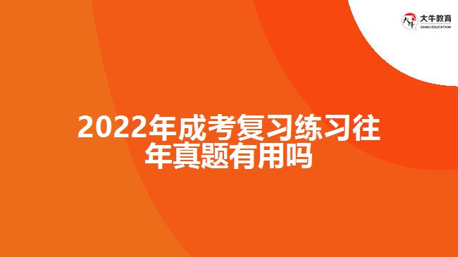 2022年成考復習練習往年試題有用嗎