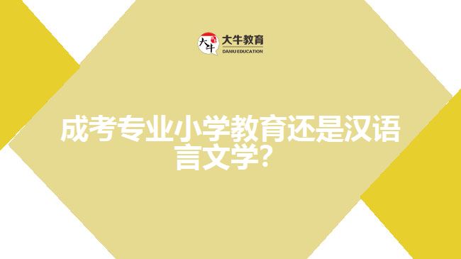 成考小學(xué)教育還是漢語言文學(xué)？