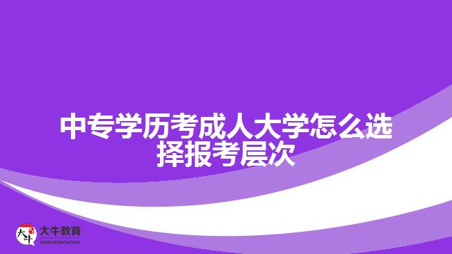 中?？汲扇舜髮W怎么選擇報考層次