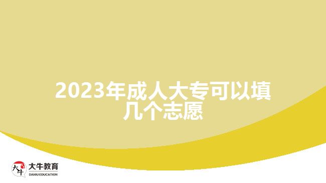 2023年成人大?？梢蕴顜讉€志愿