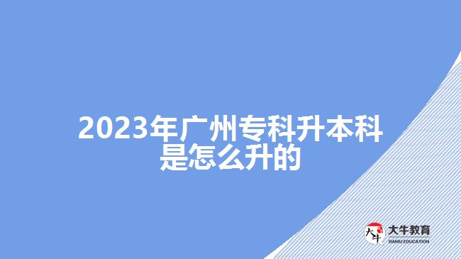 2023年廣州?？粕究剖窃趺瓷? /></div>
<p>　　成人高考專升本、自考專升本和開放大學(xué)專升本，都屬于成人教育專升本，是非全日制教學(xué)模式，適合社會在職、從業(yè)人員和社會其他人員報(bào)考，不需要脫離生成，可利用自己空閑的時間業(yè)余學(xué)習(xí)。</p>
<p>　　成考專升本，適合已經(jīng)取得畢業(yè)證的?？飘厴I(yè)生報(bào)考，報(bào)廣州2023年成人高考可在9月份網(wǎng)上報(bào)名，考生參加入學(xué)考試，成人高校根據(jù)考試分?jǐn)?shù)擇優(yōu)錄取。通過成考而取得入學(xué)資格，經(jīng)過2.5年學(xué)制或3年學(xué)制在校學(xué)習(xí)，達(dá)到畢業(yè)要求，可取得學(xué)校頒發(fā)的本科畢業(yè)證。</p>
<p>　　自考沒有學(xué)歷、年齡等報(bào)名限制，?？圃谧x或?qū)？飘厴I(yè)的考生，都可以選擇自考專升本考取本科學(xué)歷。報(bào)名自考，考生可自學(xué)也可以報(bào)班學(xué)習(xí)，再一門課程一門課程參加考試，所有科目合格后且具備有大專學(xué)歷，可申請畢業(yè)。</p>
<p>　　【推薦閱讀：<a href=