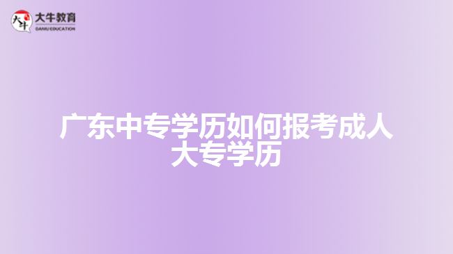 廣東中專學歷如何報考成人大專學歷