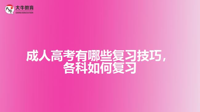 成考有哪些復習技巧，各科如何復習