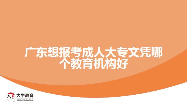 廣東想報(bào)考成人大專文憑哪個(gè)教育機(jī)構(gòu)好
