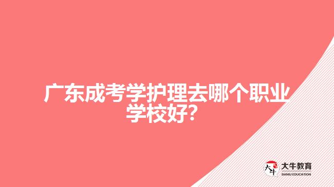 廣東成考學護理去哪個職業(yè)學校好？