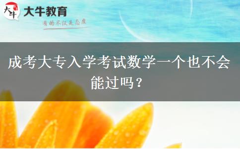 成考大專入學(xué)考試數(shù)學(xué)一個(gè)也不會(huì)能過嗎？
