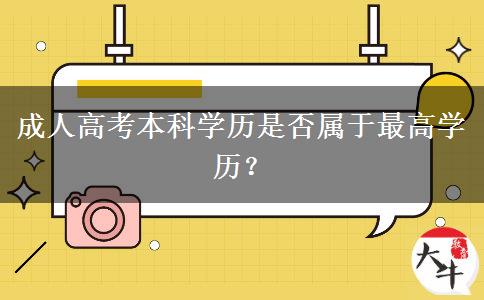 成人高考本科學(xué)歷是否屬于最高學(xué)歷？
