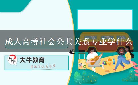 成人高考社會公共關系專業(yè)學什么