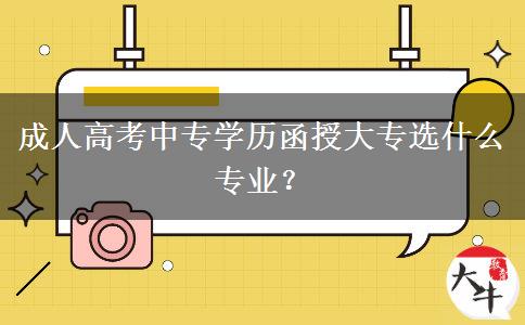 成人高考中專學(xué)歷函授大專選什么專業(yè)？