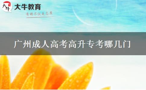 廣州成人高考高升?？寄膸组T