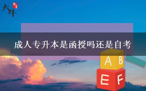 成人專(zhuān)升本是函授嗎還是自考 成人專(zhuān)升本是函授嗎還是自考