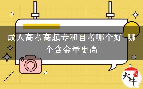 成人高考高起專和自考哪個好。</div>
                    <div   class=