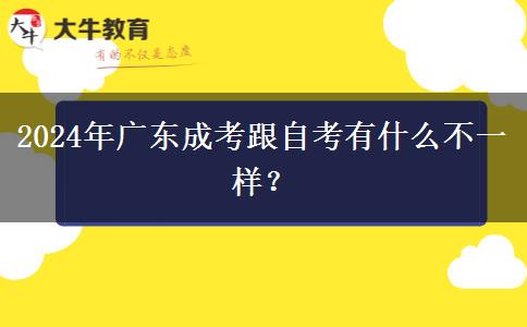 2024年廣東成考跟自考有什么不一樣？