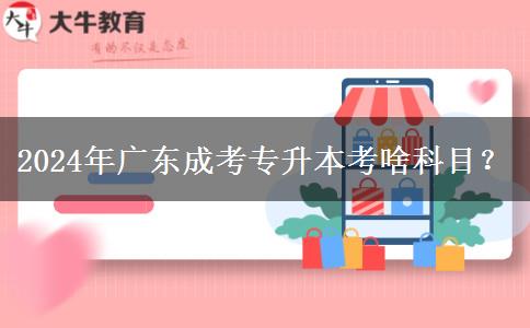 2024年廣東成考專升本考啥科目？