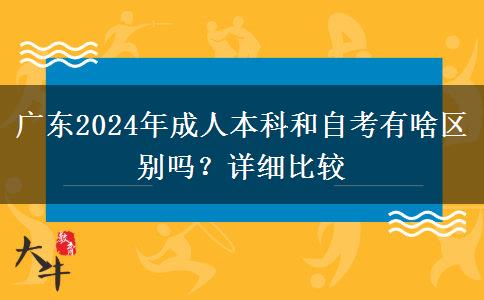 廣東2024年成人本科和自考有啥區(qū)別嗎？詳細(xì)比較