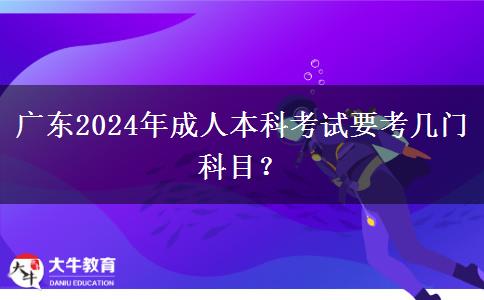 廣東2024年成人本科考試要考幾門科目？