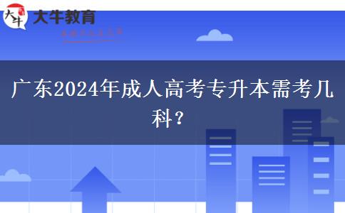 廣東2024年成人高考專升本需考幾科？
