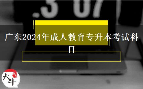 廣東2024年成人教育專(zhuān)升本考試科目