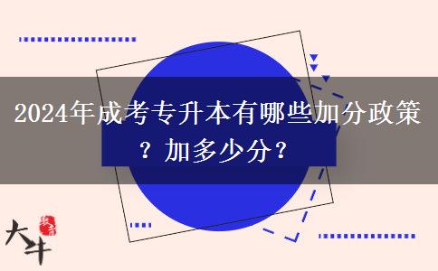 2024年成考專升本有哪些加分政策？加多少分？