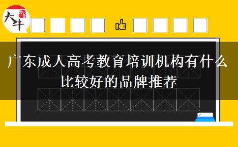 廣東成人高考教育培訓(xùn)機構(gòu)有什么比較好的品牌推薦