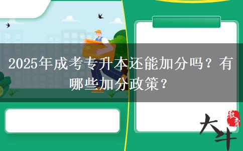 2025年成考專升本還能加分嗎？有哪些加分政策？